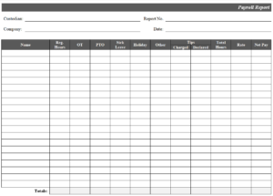 28 BEST Payroll Report Templates [WORD & EXCEL] - Day To Day Email