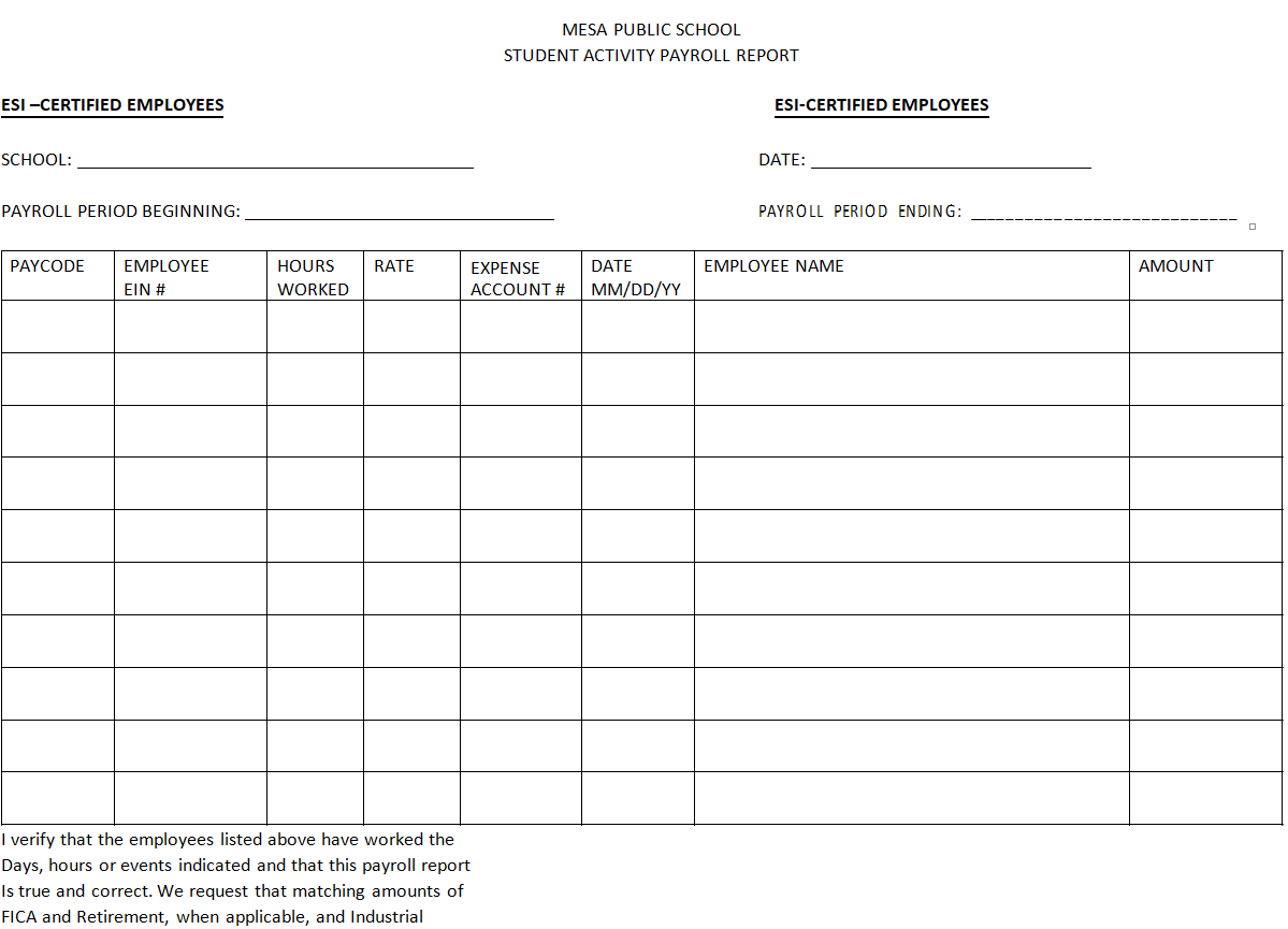 28 BEST Payroll Report Templates [WORD & EXCEL] - Day To Day Email