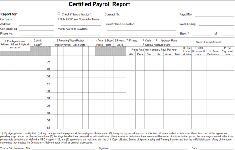 28 BEST Payroll Report Templates [WORD & EXCEL] - Day To Day Email