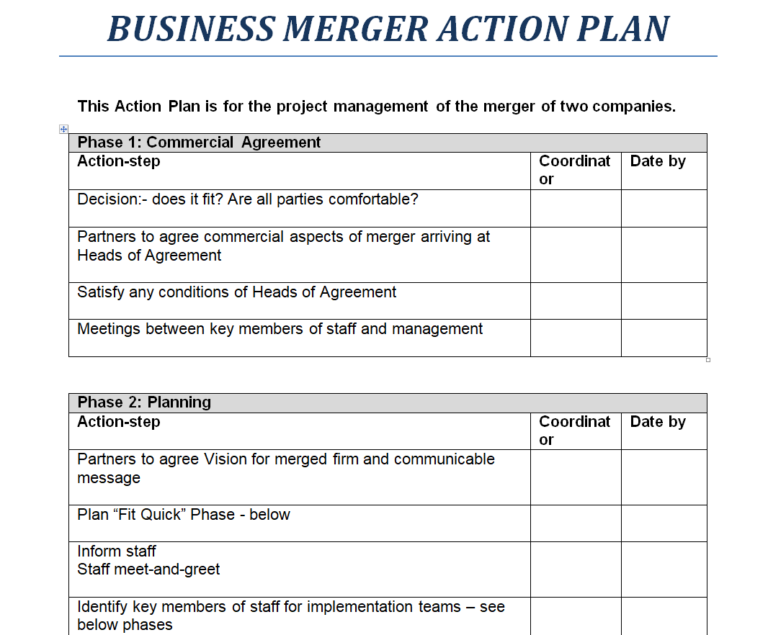 consulting business action plan sample